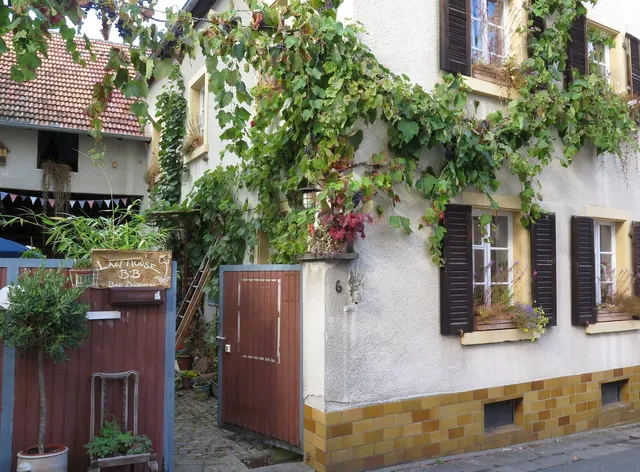 Lazy House Bad Dürkheim