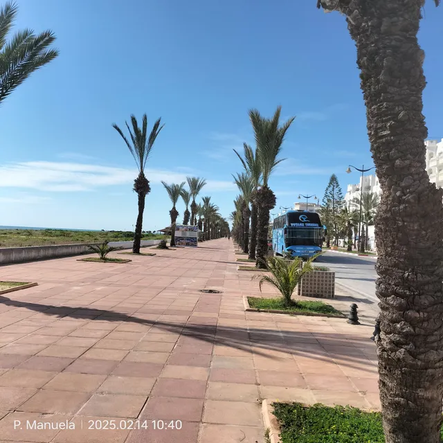Yasmine Hammamet Square