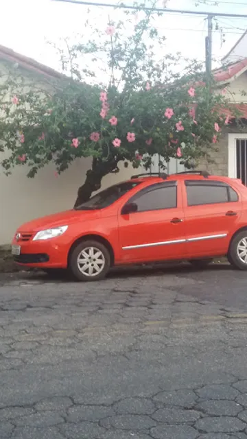 Domingos F Machado Fº