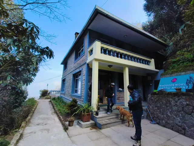 Rhododendron exotic Resorts