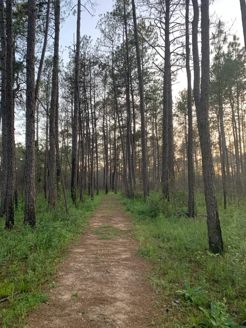 Big Thicket National Preserve, Hickory Creek Savannah Unit, Sundew Trail