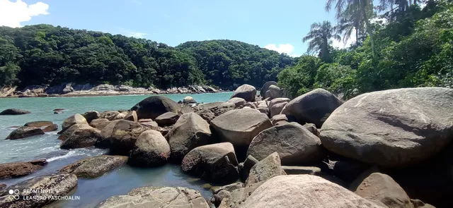 Ilha do Mato