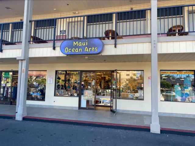 Maui Ocean Arts Inc