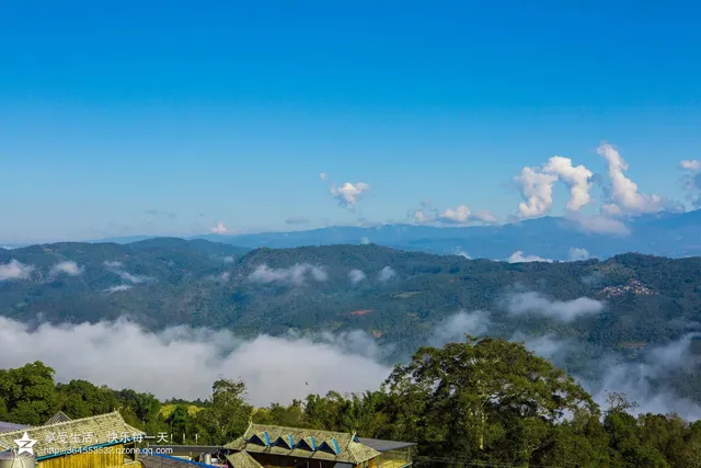 景迈千年万亩古茶园