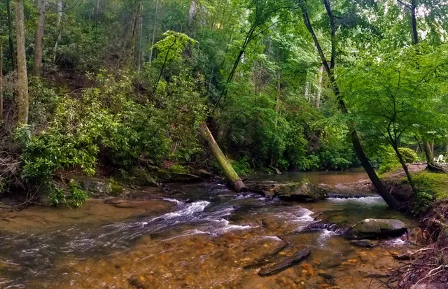 Celebrate Blue Ridge