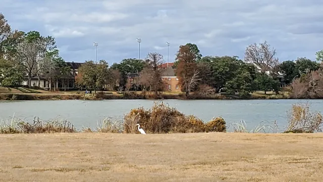 University Lakes
