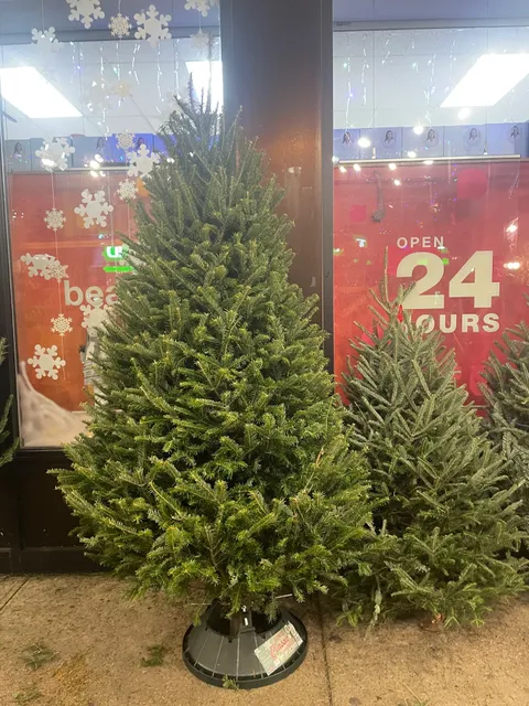 Christmas Tree Stand / Emporium