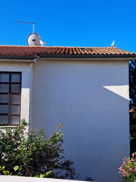 Apartments Jaklin Rovinj