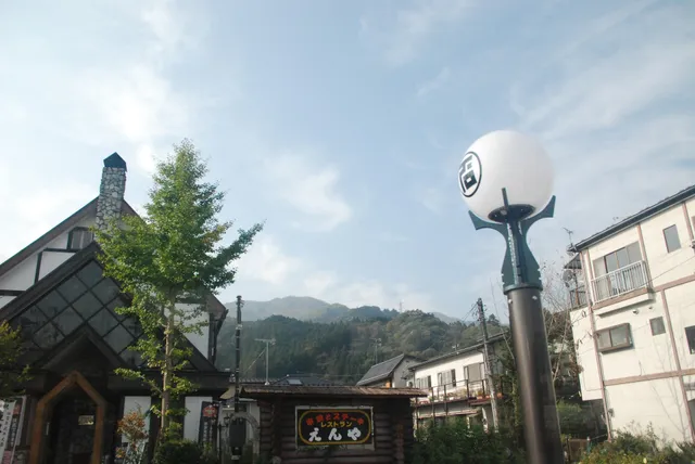 Minshuku Narusawa Lodge