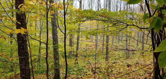 State Game Lands Number 64