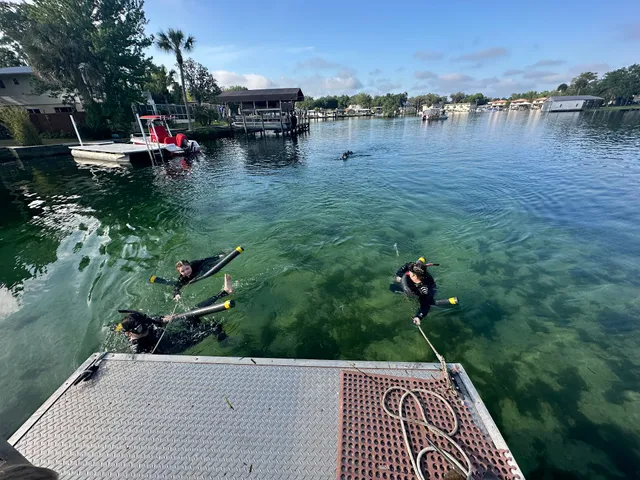 Manatee Tour and Dive