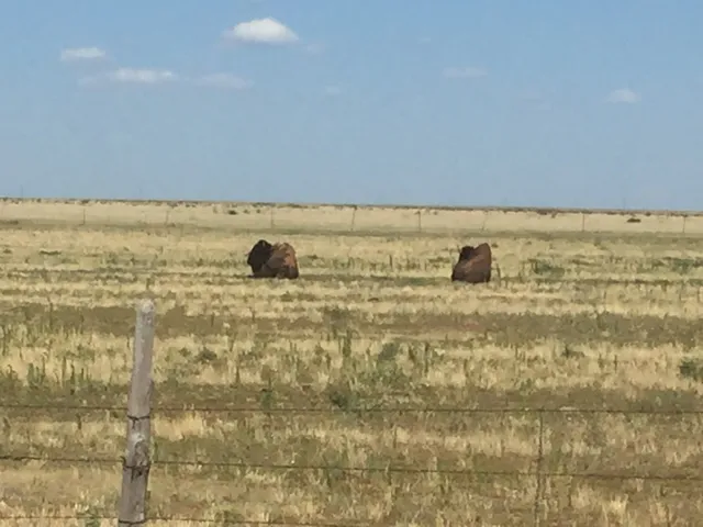 Hereford Senior Citizens Association