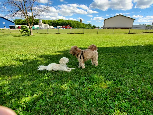 Kaukauna Dog Park