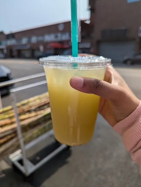 Ganny ka Juice گنے کا شربت Sugarcane Juice Cart, Brooklyn, Newyork