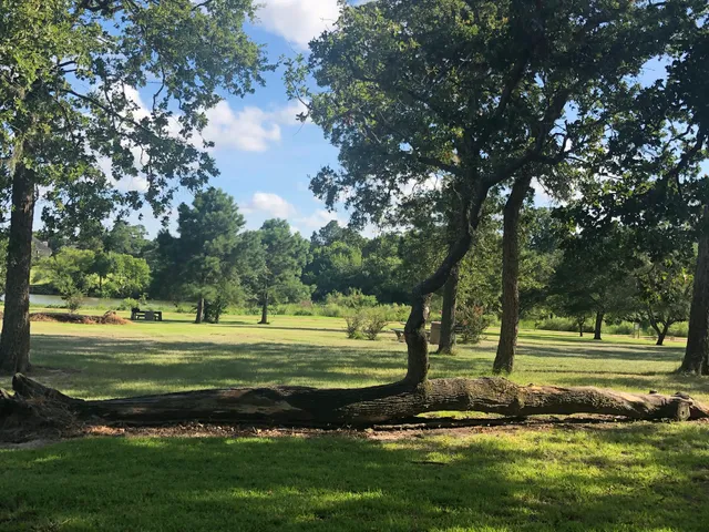 Rudy Rodriguez Disc Golf Course (TLV)