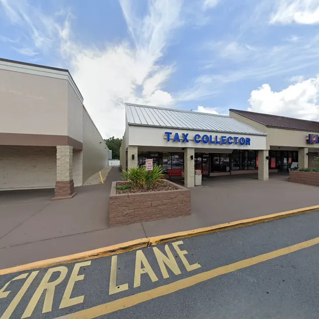 Belleview Driver License