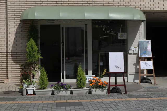 Town Gallery Famille