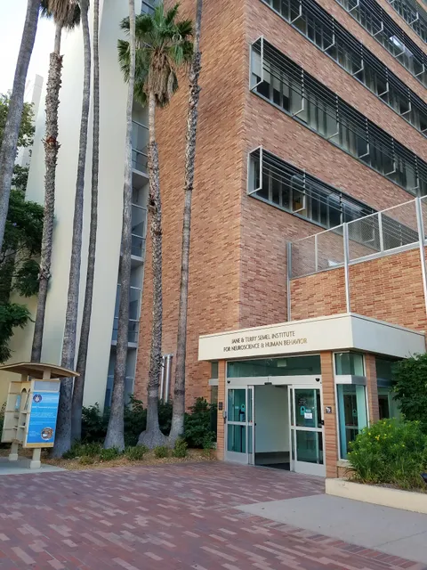 UCLA Semel Institute for Neuroscience and Human Behavior
