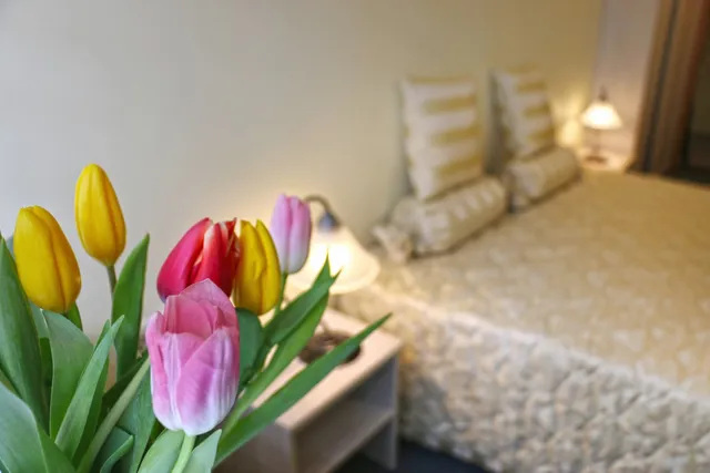 Vytas, apartments in Klaipeda