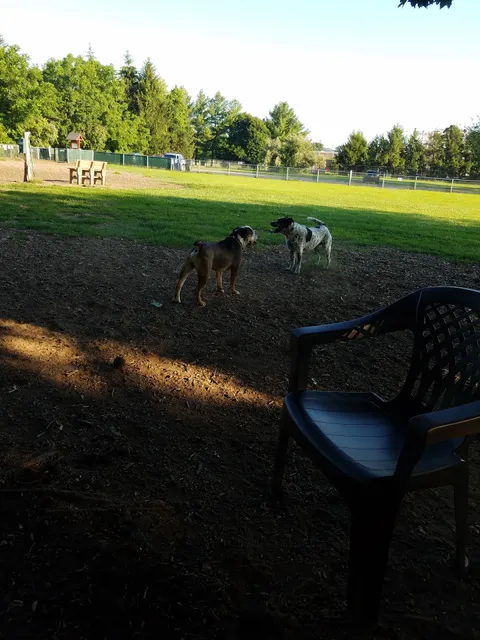 Candlewoof Dog Park
