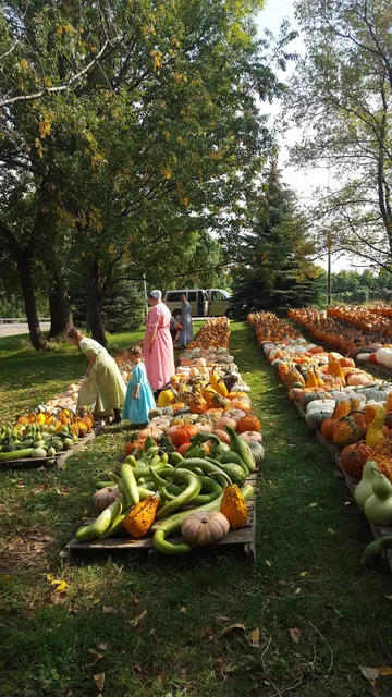 Schiedel's Little Red Wagon