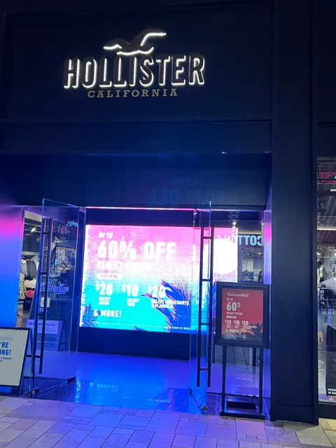 Hollister Co.