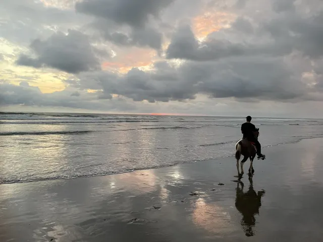 Angel's Horseback Riding