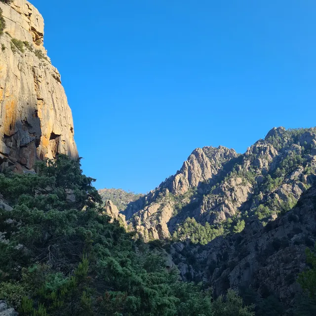 Départ randonnée Vallée du Tavignanu