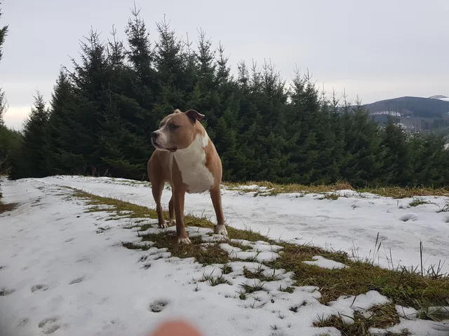 Kleines Ferienhaus mit Charme