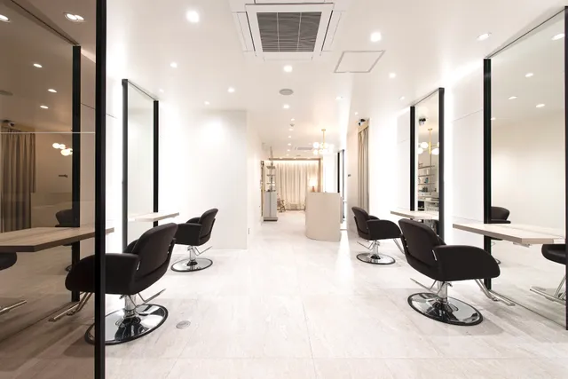 plum ginza 【プラム 銀座】 銀座の髪質改善出来る美容院