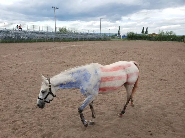 Head of the Lakes Fair Inc