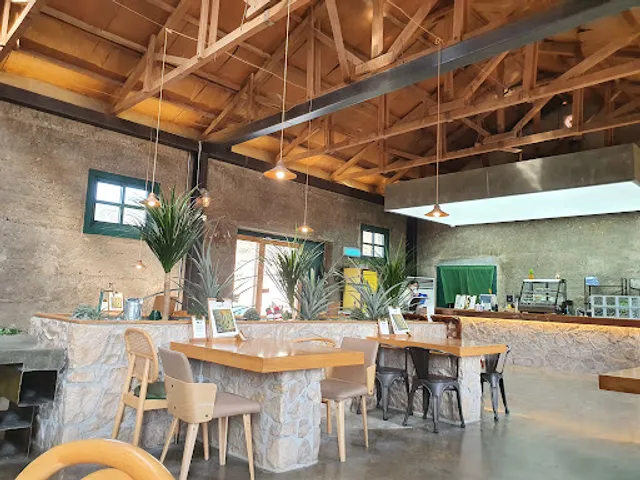 파인에이플러스