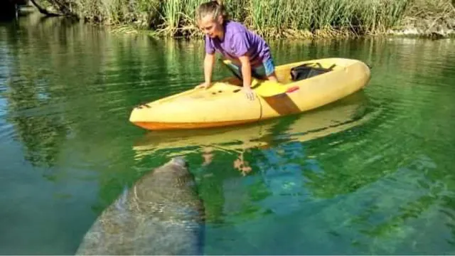 River Adventure Tours