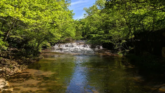 St. Francois State Park
