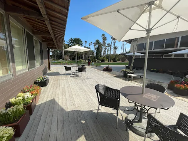 パラボラチョカフェ