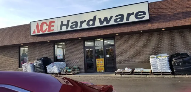Ace Hardware in Steger