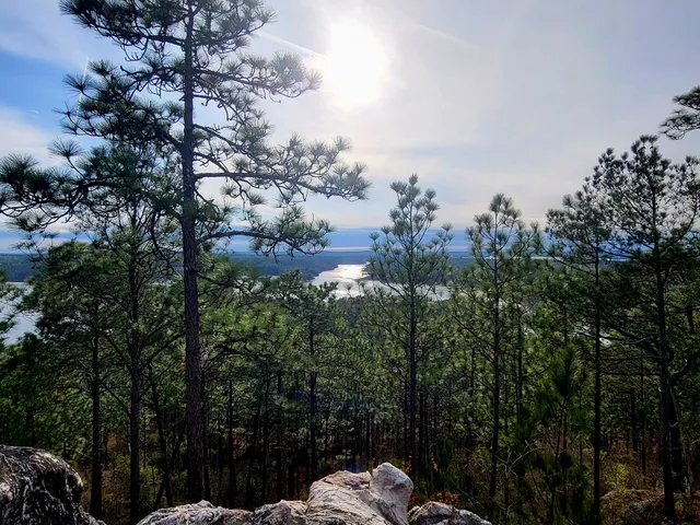 Smith Mountain Alpine Trail