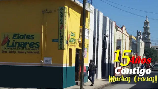 Elotes Linares Centro