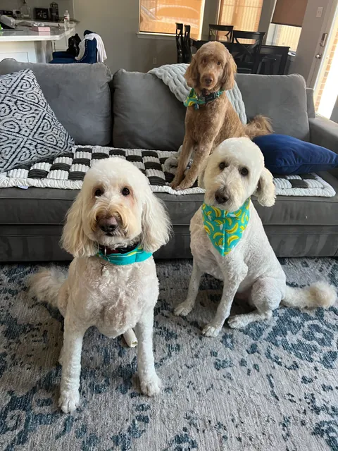 Willow Creek Ranch of Tomball