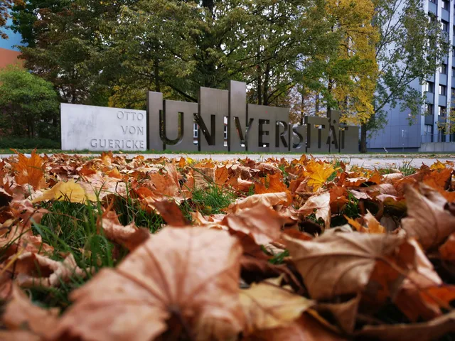 Otto-von-Guericke-University Magdeburg