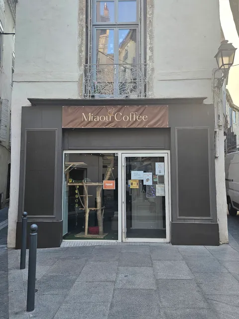 Miaou Coffee