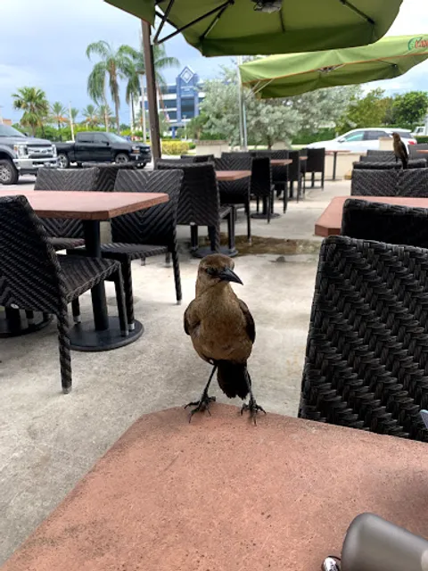 Lime Fresh Mexican Grill