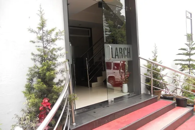 Golden Larch Residency