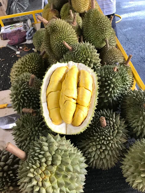 Hugo Durian Sentul 冼都榴莲王
