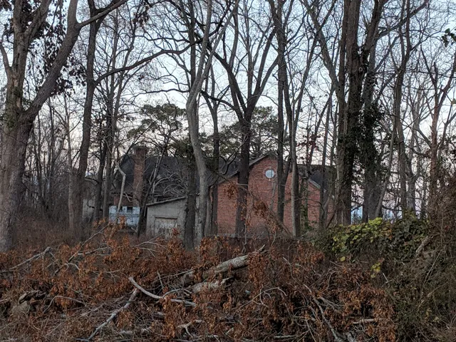 Thelma Jarvis Peterson Artist