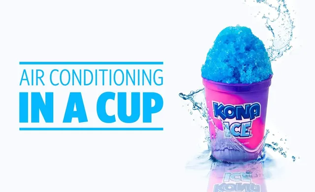 Kona Ice of Raleigh (Food Truck, by appt only)