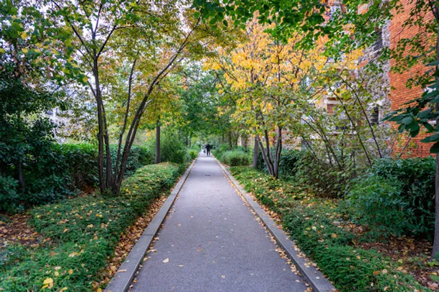 Accès Coulée Verte n°6