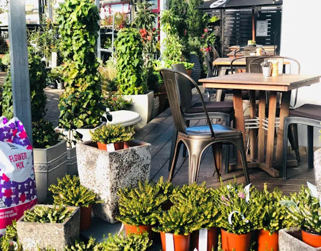 Nichol's Garden Cafe Dunedin