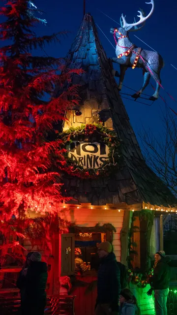 Markoff's Christmas Farm