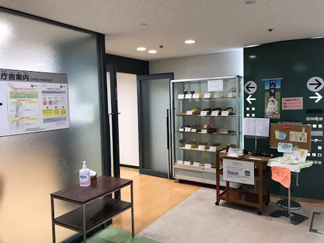 待夢里（タイムリー）